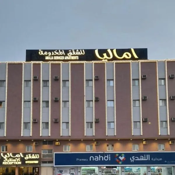 اماليا للوحدات السكنية المفروشة，位于海米斯穆谢特的酒店