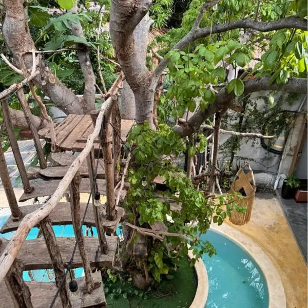 The Pool Treehouse Hotel，位于Santa María Colotepec的酒店