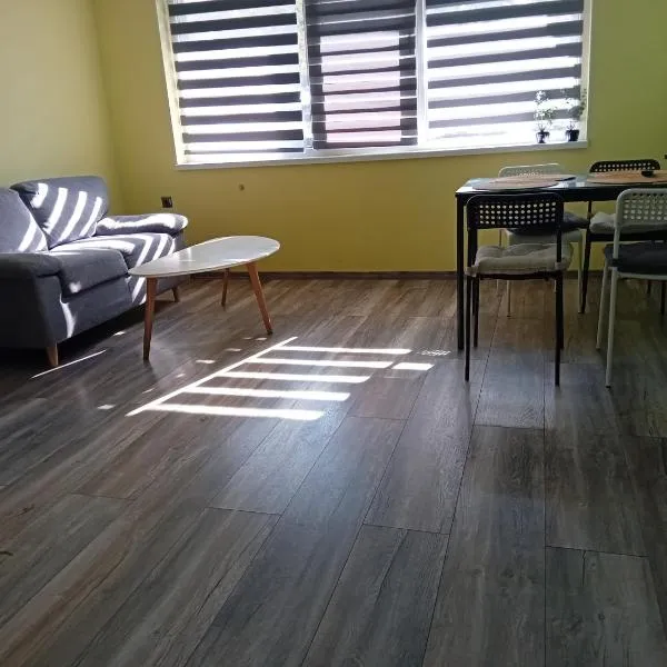 Апартамент Рая 2，位于多布里奇的酒店