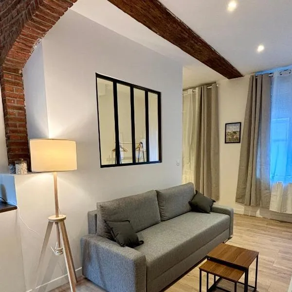 Le Petit Hainaut, hyper centre，位于瓦朗西纳的酒店