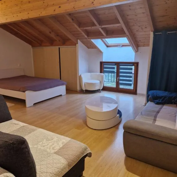 Studio Thoiry，位于图瓦里的酒店