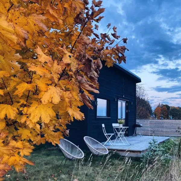 Field View Cabin，位于Läppe的酒店