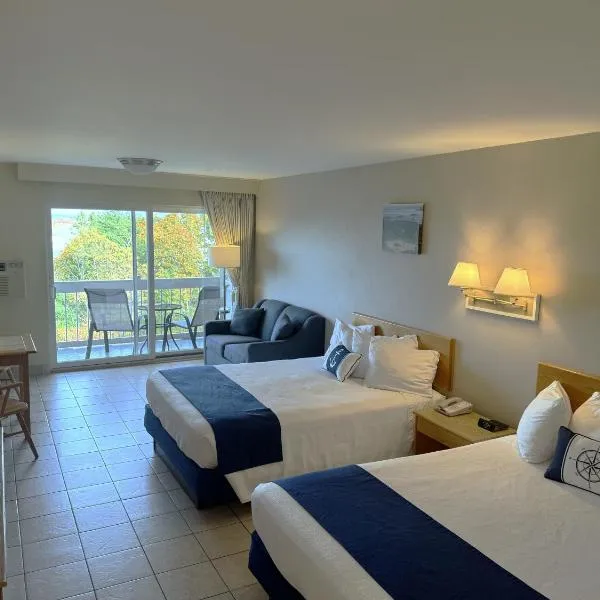 Atlantic Eyrie Lodge，位于巴港的酒店