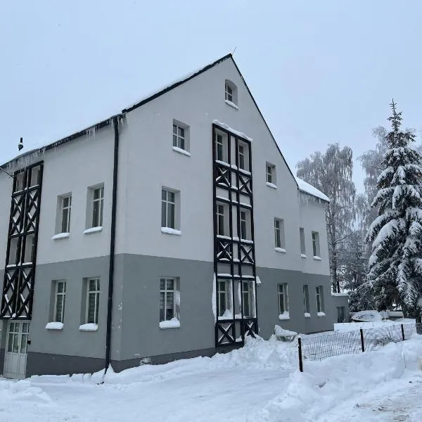 Apartmán Za Humny - krása Krušných hor，位于上布拉特纳的酒店