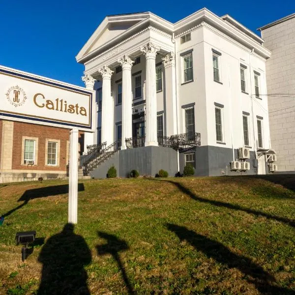Hotel Callista，位于诺维奇的酒店
