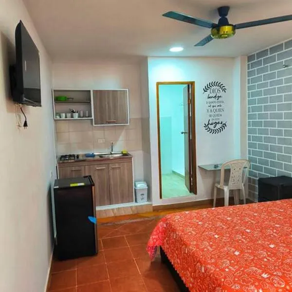 Apartaestudios la terraza 2，位于辛塞莱霍的酒店