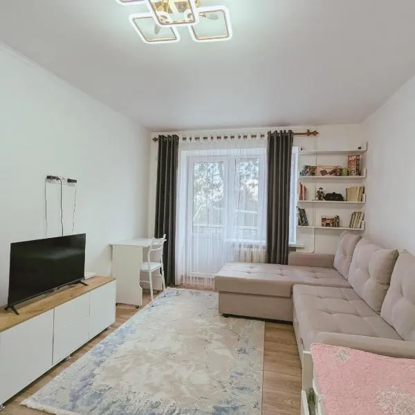 Cozy apartment in the city center of Karakol，位于卡拉科尔的酒店