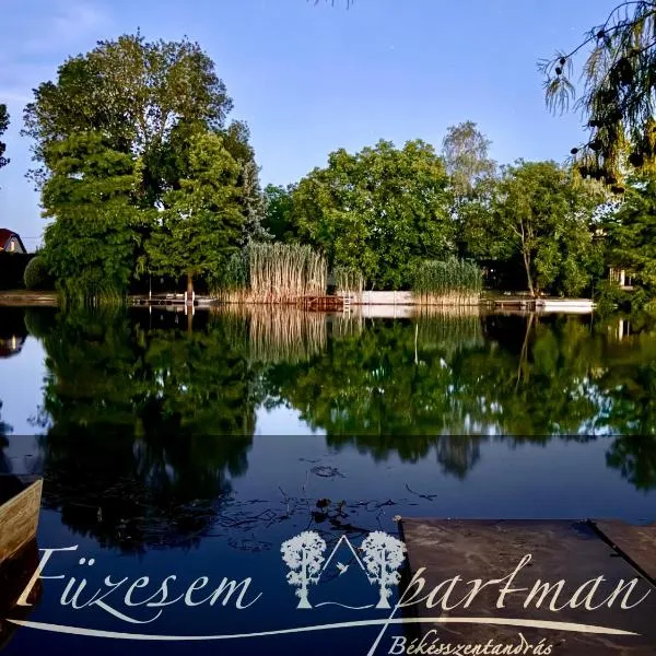 Füzesem Apartman，位于贝凯什圣安德拉什的酒店