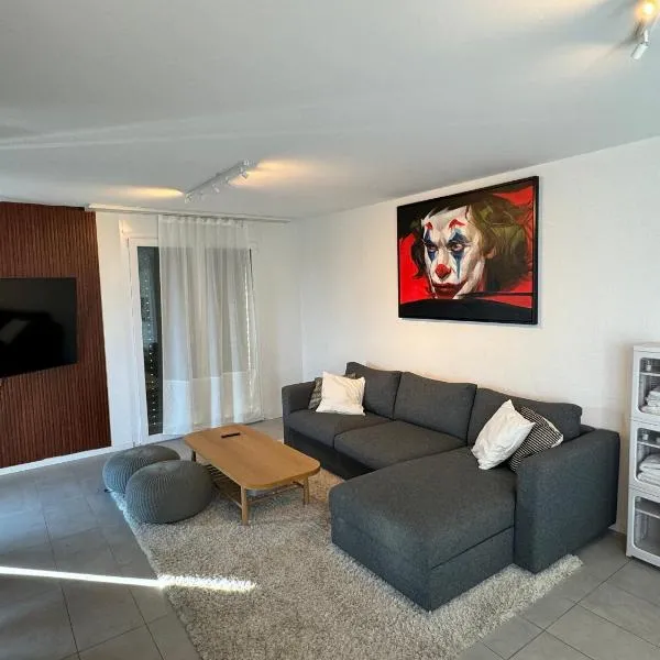 Great apartment in Lausanne，位于洛桑的酒店