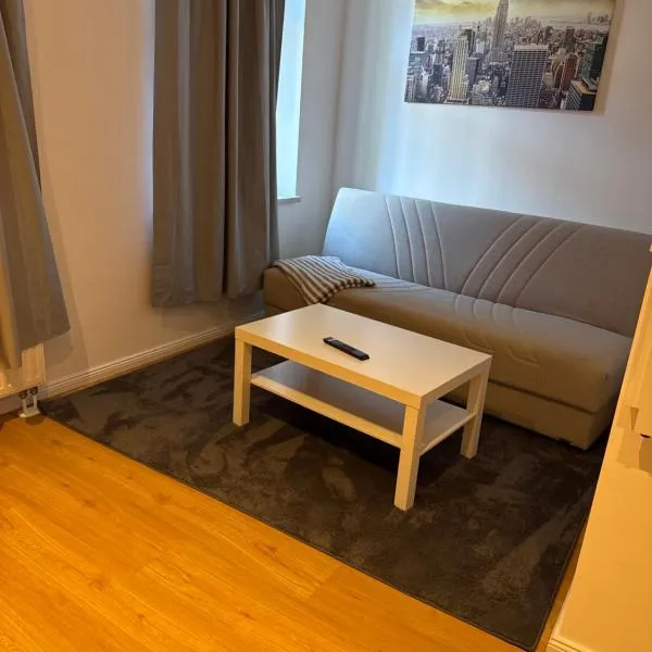 Ferienwohnung Henricistrasse，位于Plagwitz的酒店