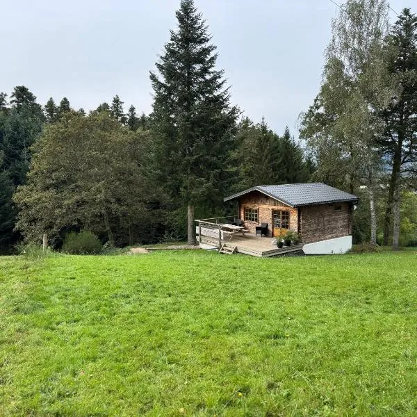 Chalet en pleine nature，位于Entre-deux-Eaux的酒店