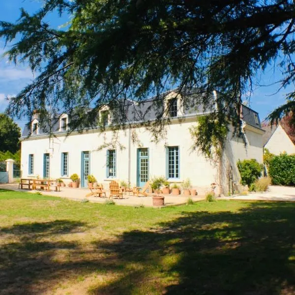 Le Gite du Clos des Levées，位于Saint-Clément-des-Levées的酒店
