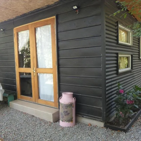 Cabaña en la naturaleza Futrono，位于Ranco的酒店