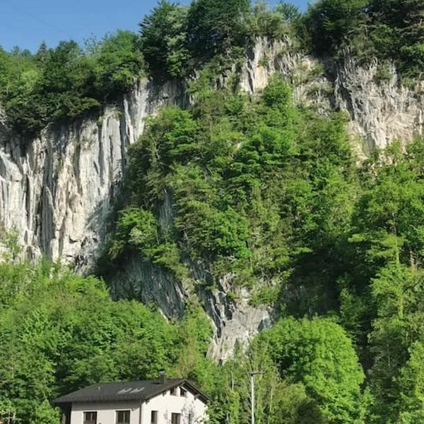 Apartment Prinzip Hoffnung，位于Bürs的酒店