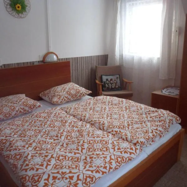 Pension Mikulka，位于Moldava的酒店