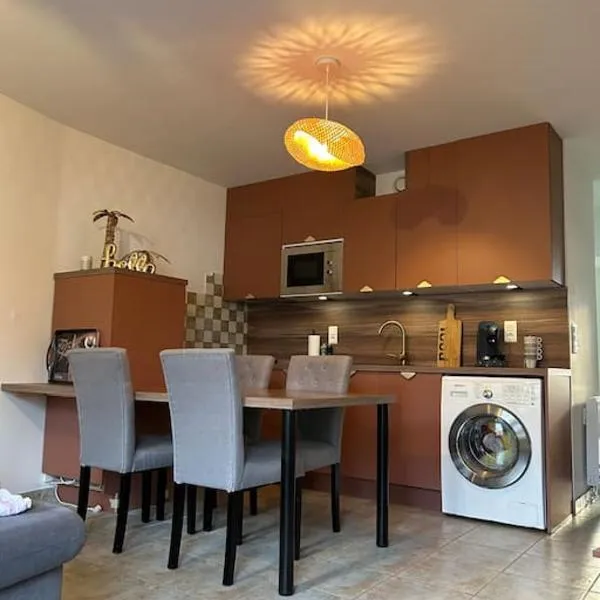 Maison de ville plein centre，位于圣塞雷的酒店