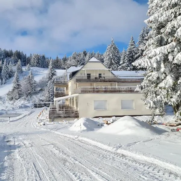 bel appartement 3 pièces dans la Résidence Vosges-Alsace Orbey，位于奥尔贝的酒店