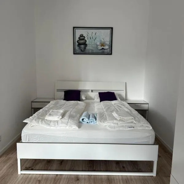 S center apartment in Bratislava，位于Staré Mesto的酒店