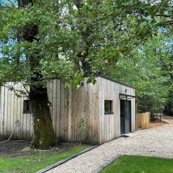 Studio en pleine nature !，位于佩萨克的酒店