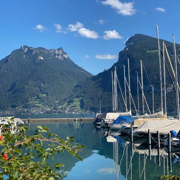 Herrlicher Blick auf Berge und See，位于法伦湖的酒店