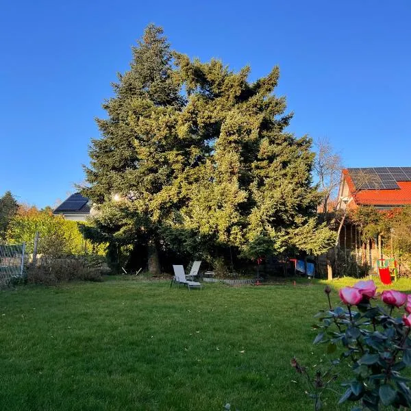 Neu! Große Ferienwohnung 3 Zimmer mit Küche und Bad, 90 qm mit Netflix und PS5，位于凯撒斯劳滕的酒店