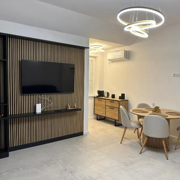 Penthouse Atmosphere Sebeş，位于赛比什的酒店