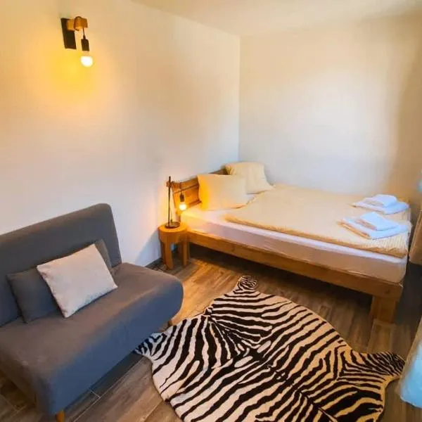 Apartment Olsa - Cozy Studio in Kandersteg，位于坎德施泰格的酒店