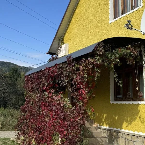 Гуцулик，位于塔塔里夫的酒店
