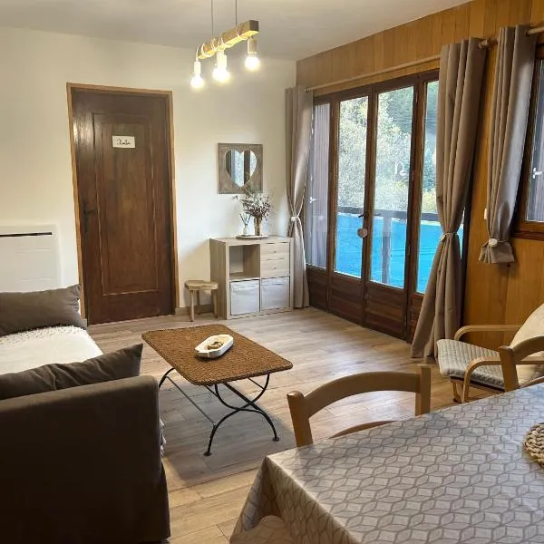 Appartement T2 40m2 tout confort，位于若西耶的酒店