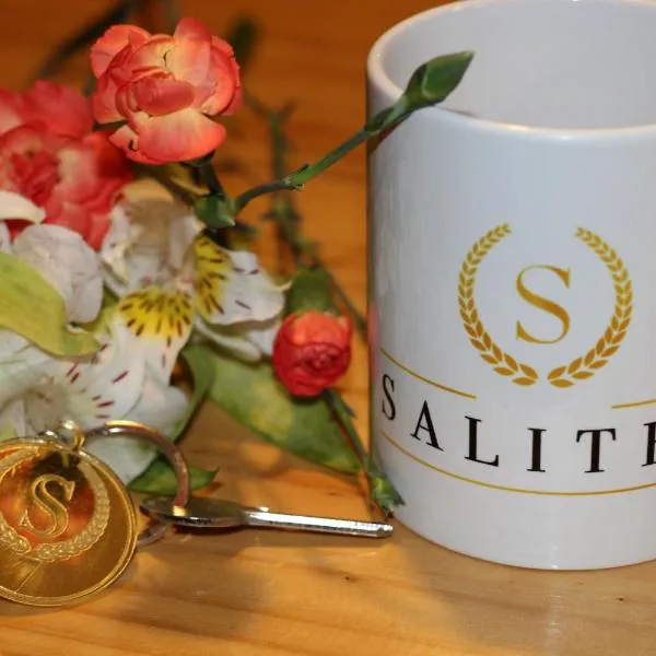 SALITRE SPA，位于Pozo Almonte的酒店