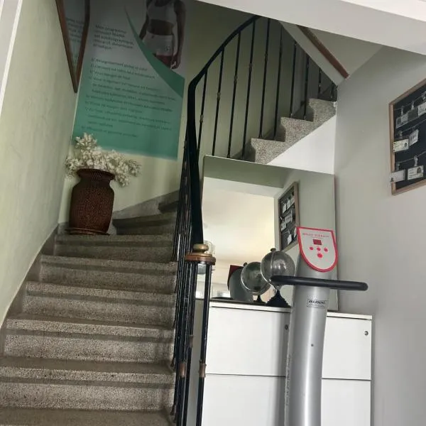 Serenity Big Room，位于布鲁塞尔的酒店