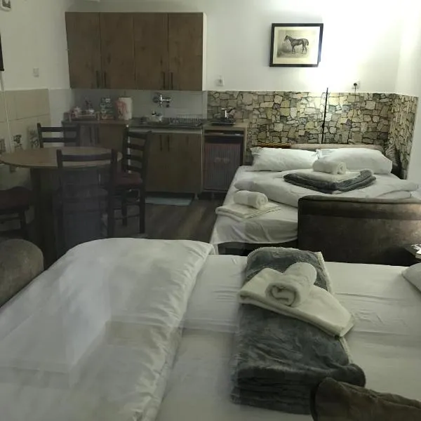 Near Highway free parking apartment，位于Rakovica的酒店