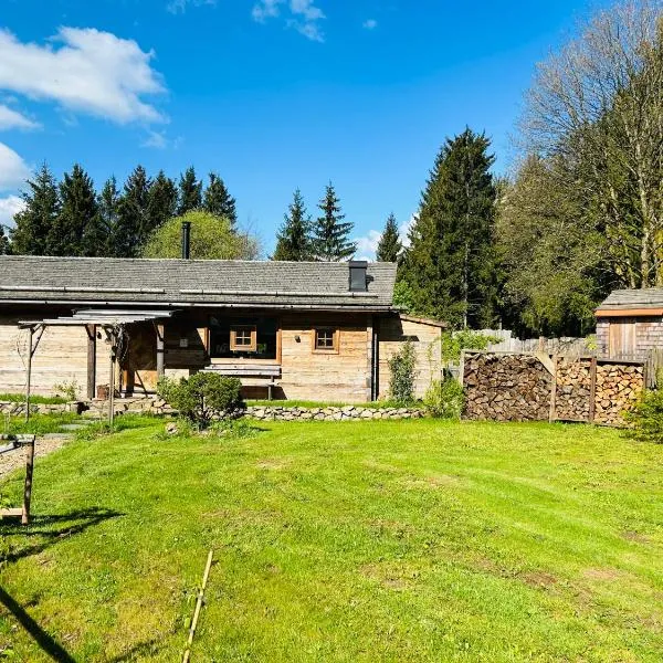 Bergchalets Taufsteinhütte，位于Breungeshain的酒店