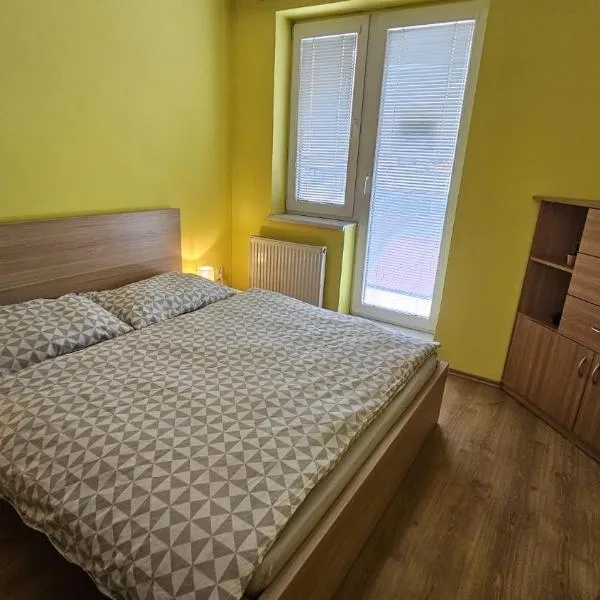 Apartmán v Kysuci，位于Kysucké Nové Mesto的酒店