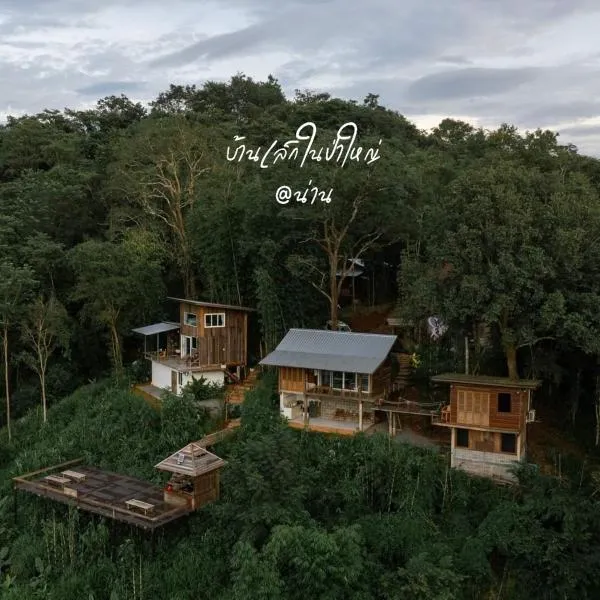 บ้านเล็กในป่าใหญ่ at น่าน Little House In the Forest at Nan，位于Ban Sapan的酒店