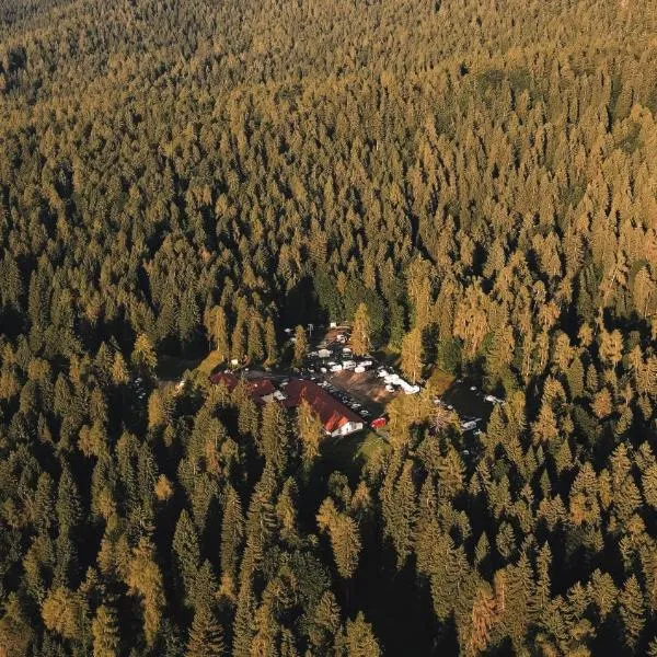 Forest Camp Val di Gresta，位于Ronzo Chienis的酒店