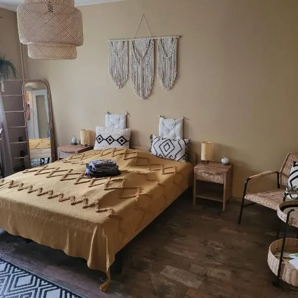 Apartment Fritz，位于莱比锡的酒店