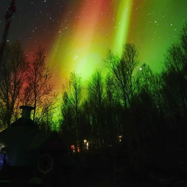 The Midnight Sun Cabin，位于Gratangen的酒店