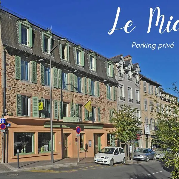 Logis Hôtel du Midi - Rodez Centre-Ville，位于罗德兹的酒店