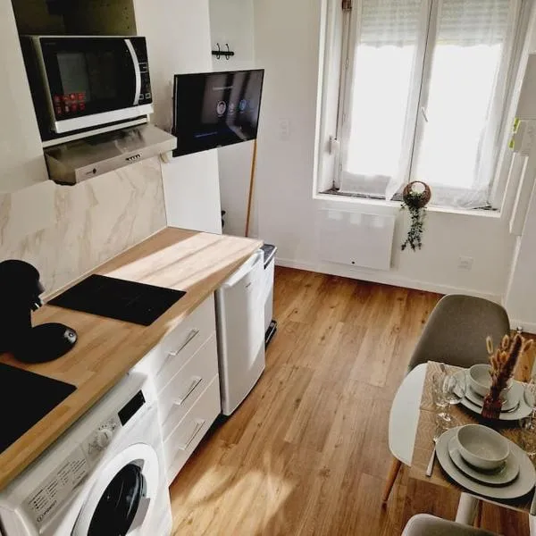 Cosy Studio tout confort，位于Aulnoye-Aymeries的酒店