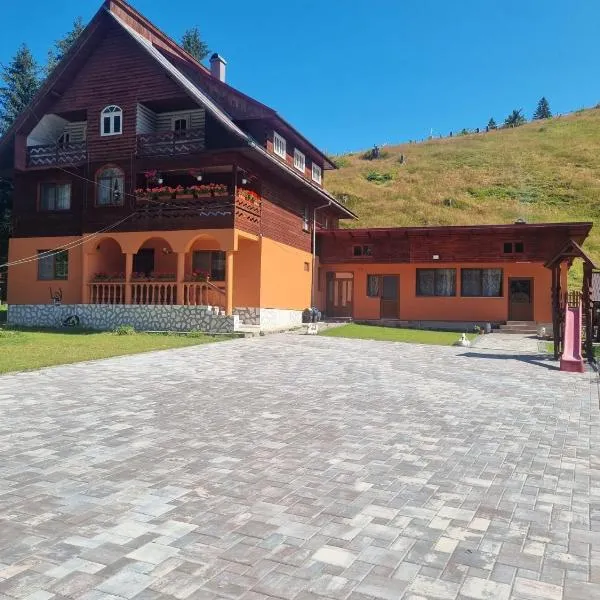 Casa Andreea，位于阿列谢尼的酒店