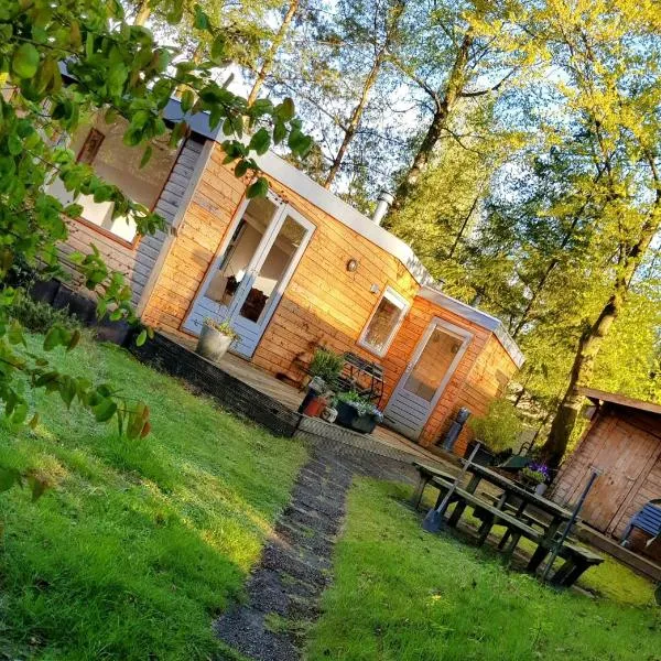 Knus huisje in het bos，位于贝克贝亨的酒店