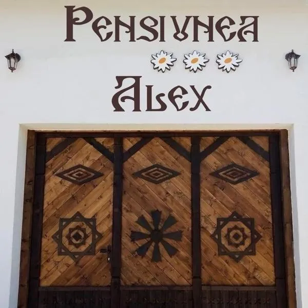 Pensiunea Alex，位于波亚纳默鲁卢伊的酒店