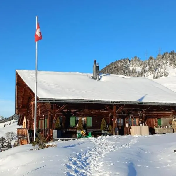 Chalet Chanso，位于埃格勒的酒店