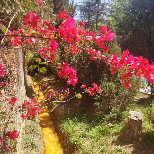 Cabañas Valle San Miguel，位于奇莱西托的酒店