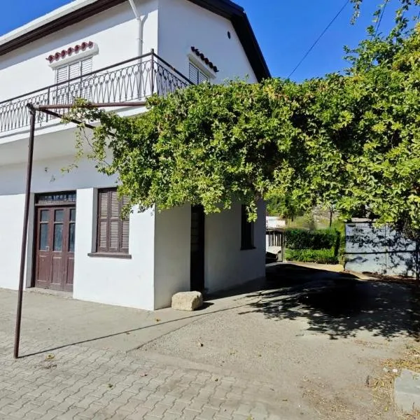 Limnitis Traditional House，位于Limnitis的酒店