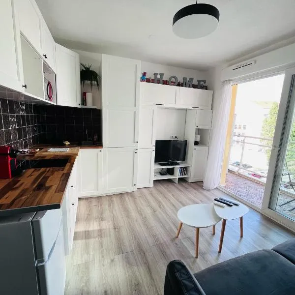 Studio terrasse et parking privé，位于尼斯的酒店