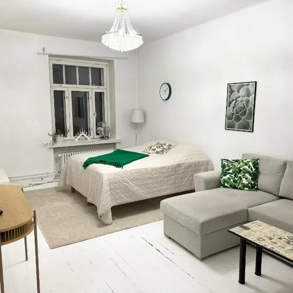 HHH Spacious, big apartment in Helsinki center in Kallio，位于赫尔辛基的酒店