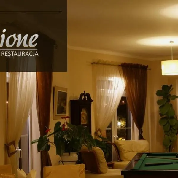 Hotel Passione，位于Międzyrzecze Górne的酒店