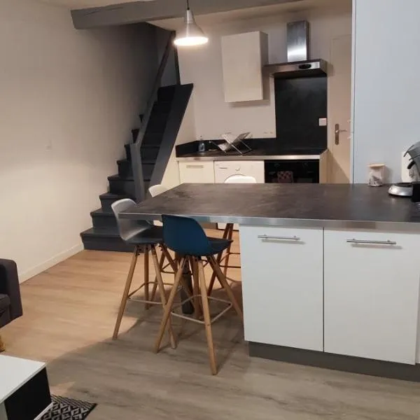 Le Duplex，位于梅克西米约的酒店